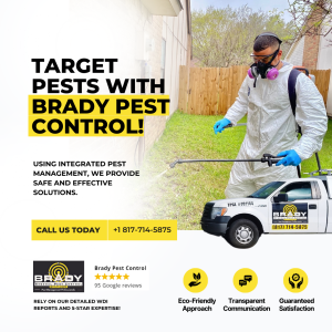 extermination with Brady pest control