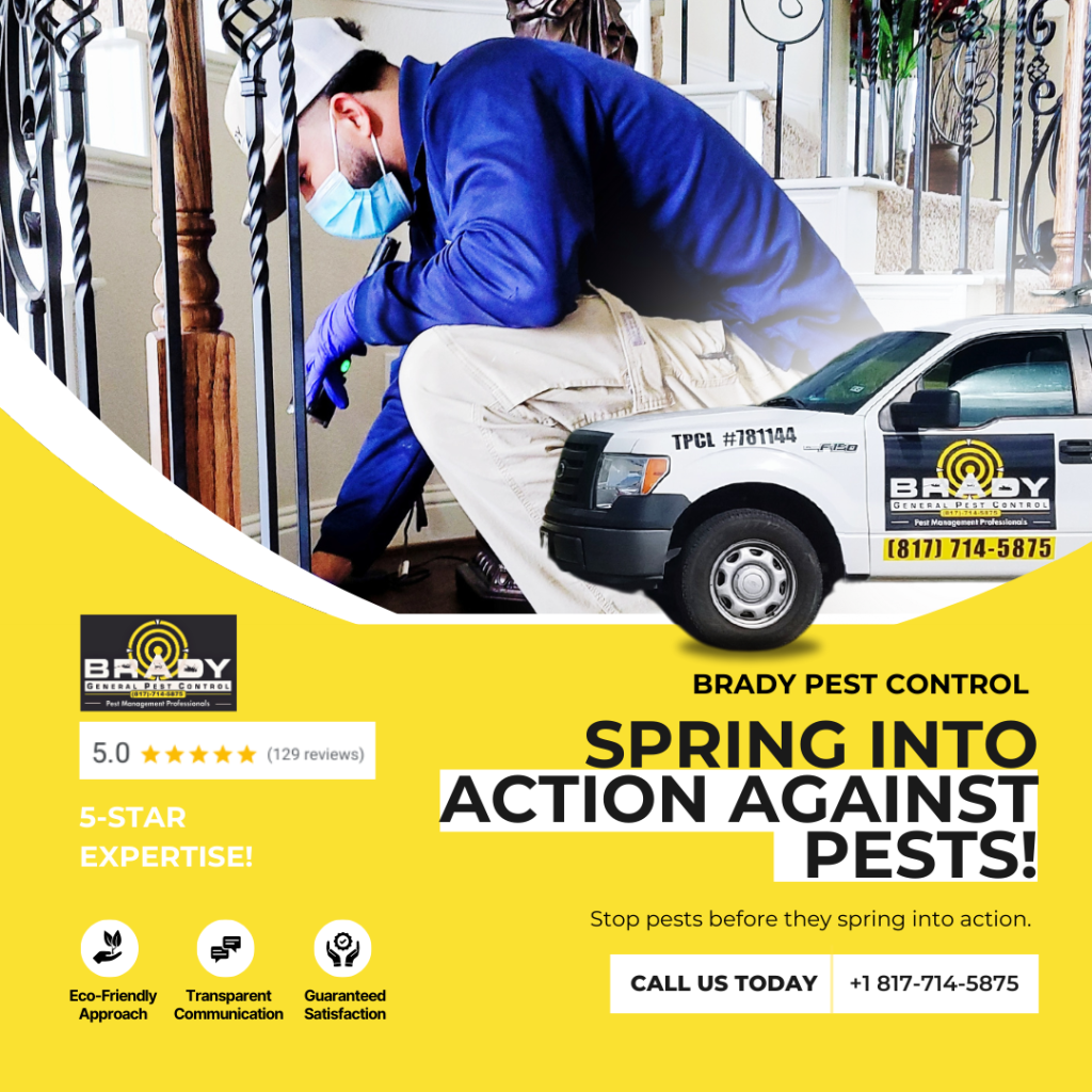 Brady Pest Control Flea and Tick treatments