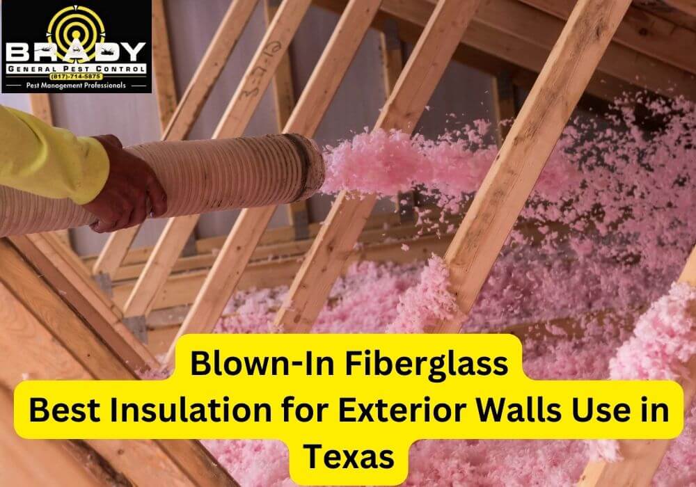 Blown-In Fiberglass Best Insulation for Exterior Walls Use in Texas | What is the Best Insulation for Exterior Walls Use in Texas