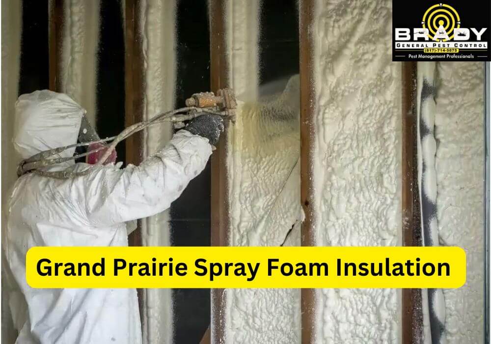 Grand Prairie Spray Foam Insulation - Brady Pest Control