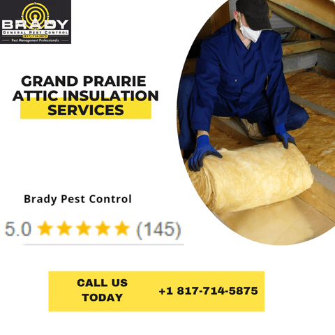 Attic Insulation Removal Services in Grand Prairie. TX