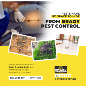 Commercial Pest Control in my Area Grand Prairie, TX - Brady Pest Control