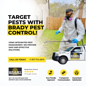 Home 5 Pest Control Grand Prairie, TX | Pest Control Near Me