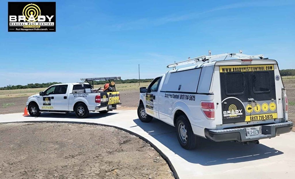 Same Day Brady Pest Control Midlothian TX