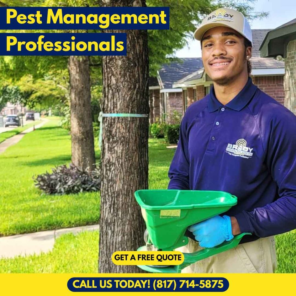 Same Day Venus Pest Control Services in Grand Prairie, TX - Brady Pest Control
