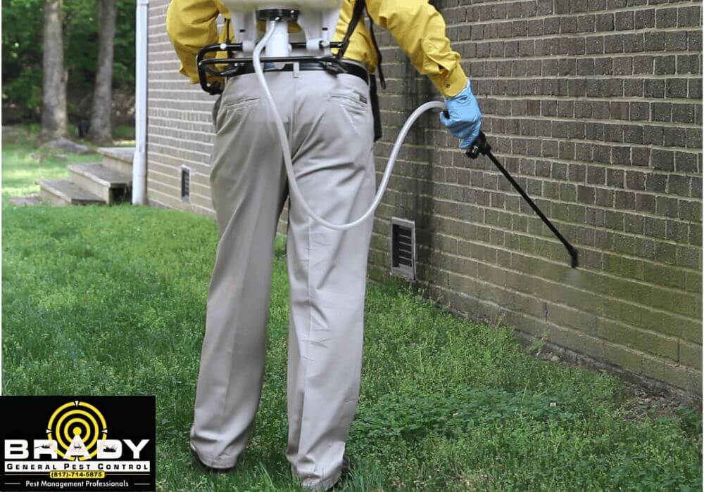 Why Preventative Pest Control Matters