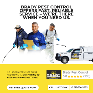 Brady Pest Control SERVING in Garland, TEXAS
