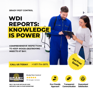 Brady Pest Control Termite Inspections and Treatments in Grand Prairie, TX