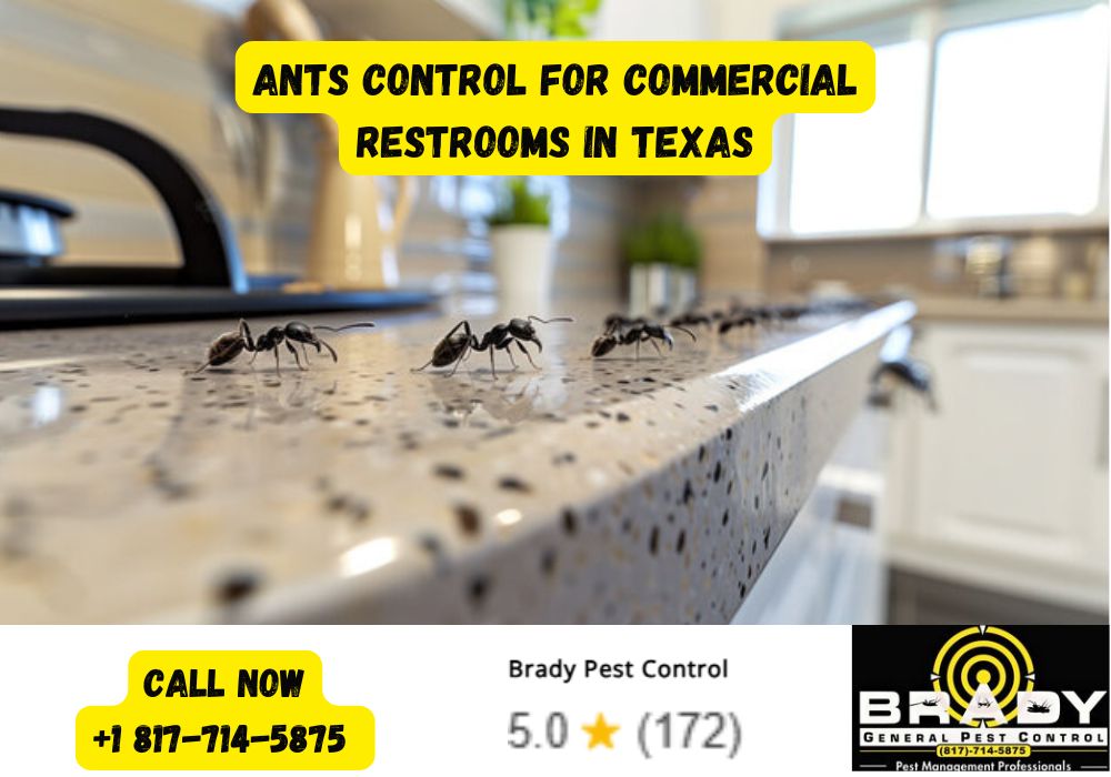 Ants Control for Commercial Restrooms in Texas - Brady Pest Control