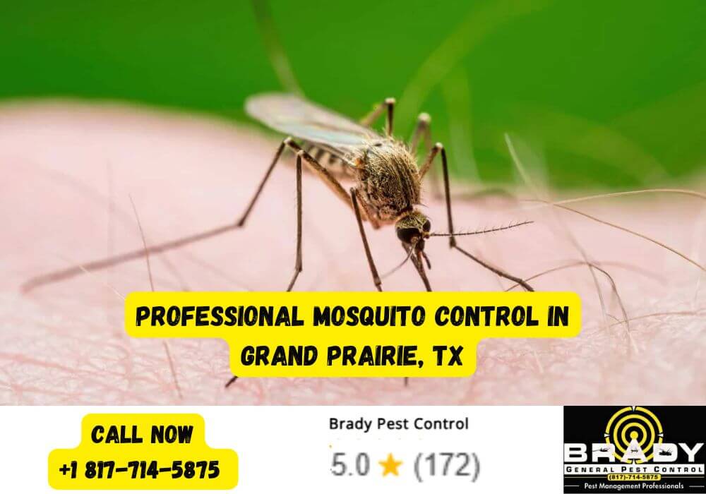 Prime Pest Season in Texas: Your Guide to the 5 Most Common Summer Pests 2 Professional Mosquito Control in Grand Prairie, TX