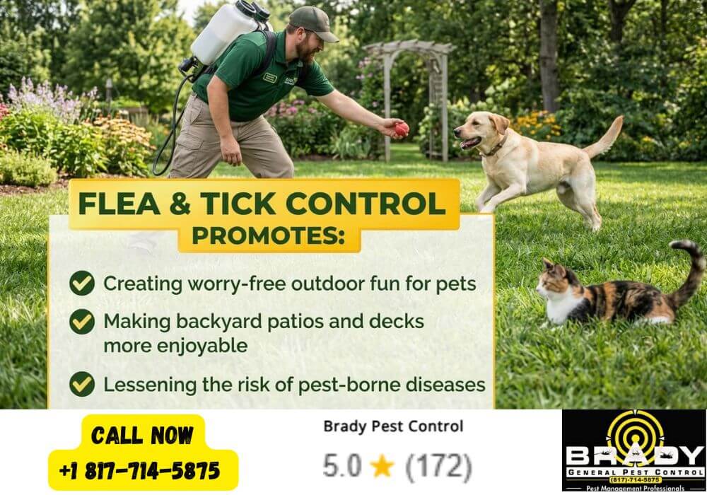Why Your Yard Might Be a Flea and Tick Hot Spot (Even If Your Pet Isn't) 2 Wildlife Bringing Fleas and Ticks Into Your Texas Yard;