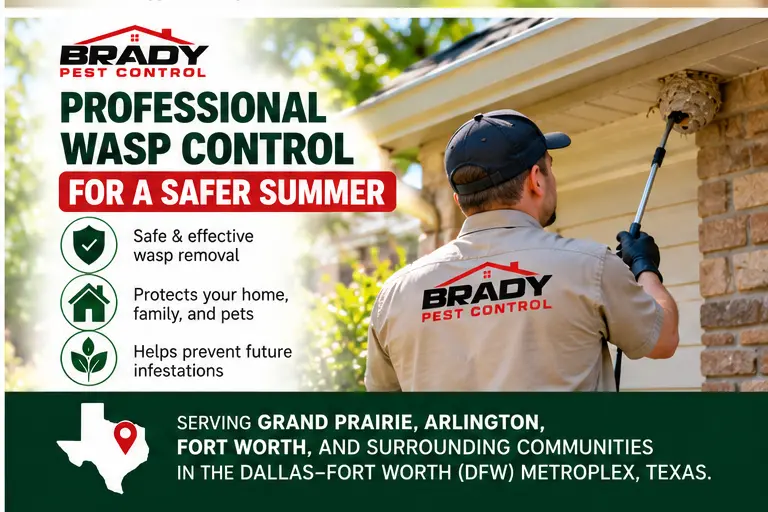 Professional Wasp Control - Brady Pest Control