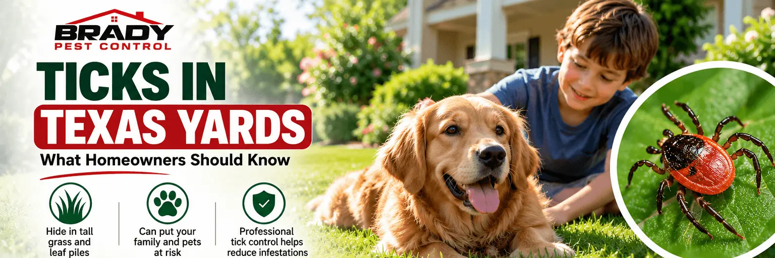 Ticks in Your Texas Yards Control Expert