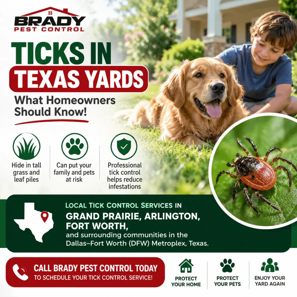 Why Professional Tick Control Matters