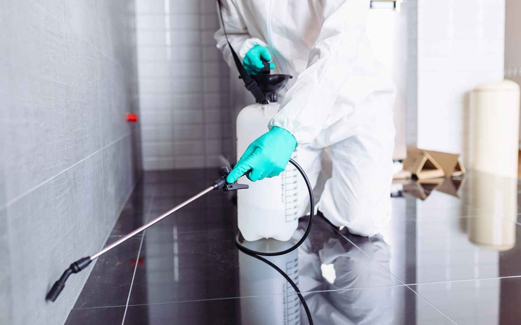 Tips and Tricks for Pest Control Services in 2024 - Brady Pest Control