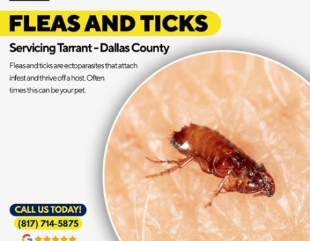 Brady Pest Control Fleas and Ticks Control