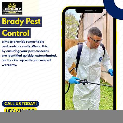 Brady Pest Control Desoto TX Expert | DeSoto Pest Control Company