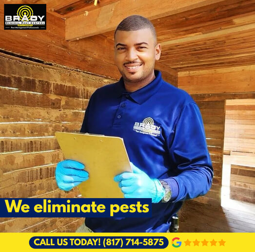 Pest Control Services in Fort Worth