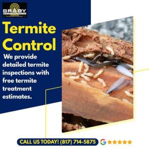 Termite Treatment Control Expert in Grand Prairie, TX - Brady Pest Control