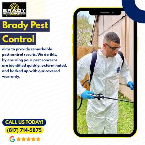 Pest Control Sevices in Arlington TX by Brady