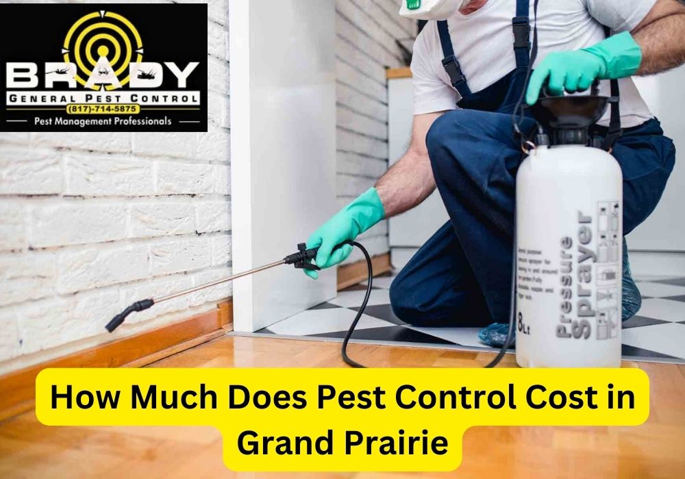 How Much Does Pest Control Cost in Grand Prairie, TX in 2024? - Brady Pest Control