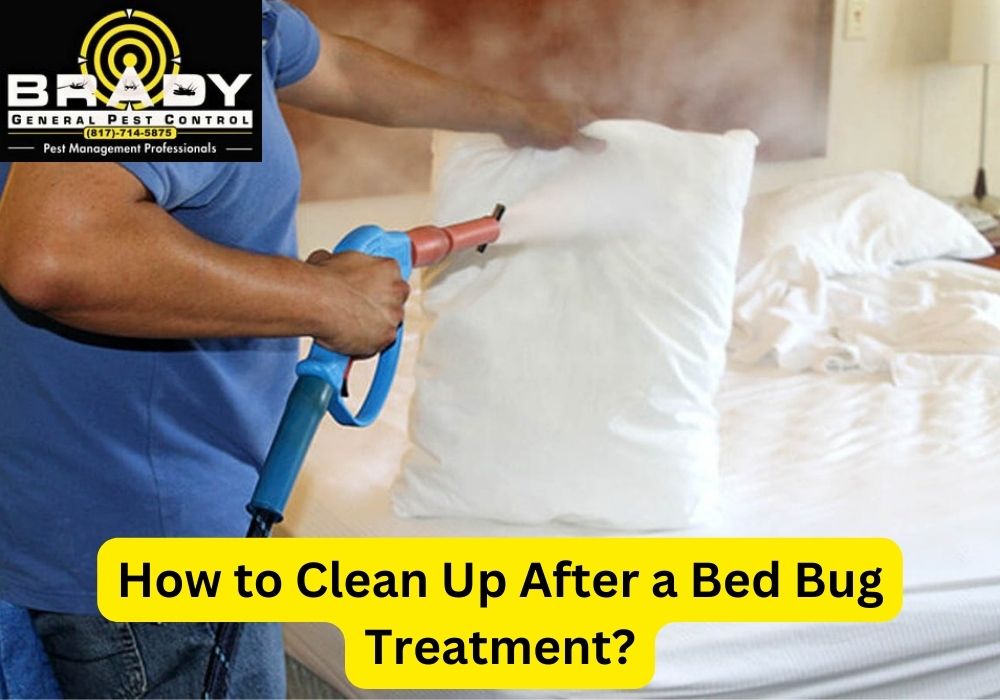 How to Clean Up After a Bed Bug Treatment? | Brady Pest Control