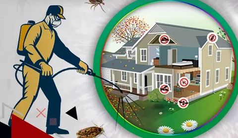 Is Quarterly Pest Control important - Brady Pest Control