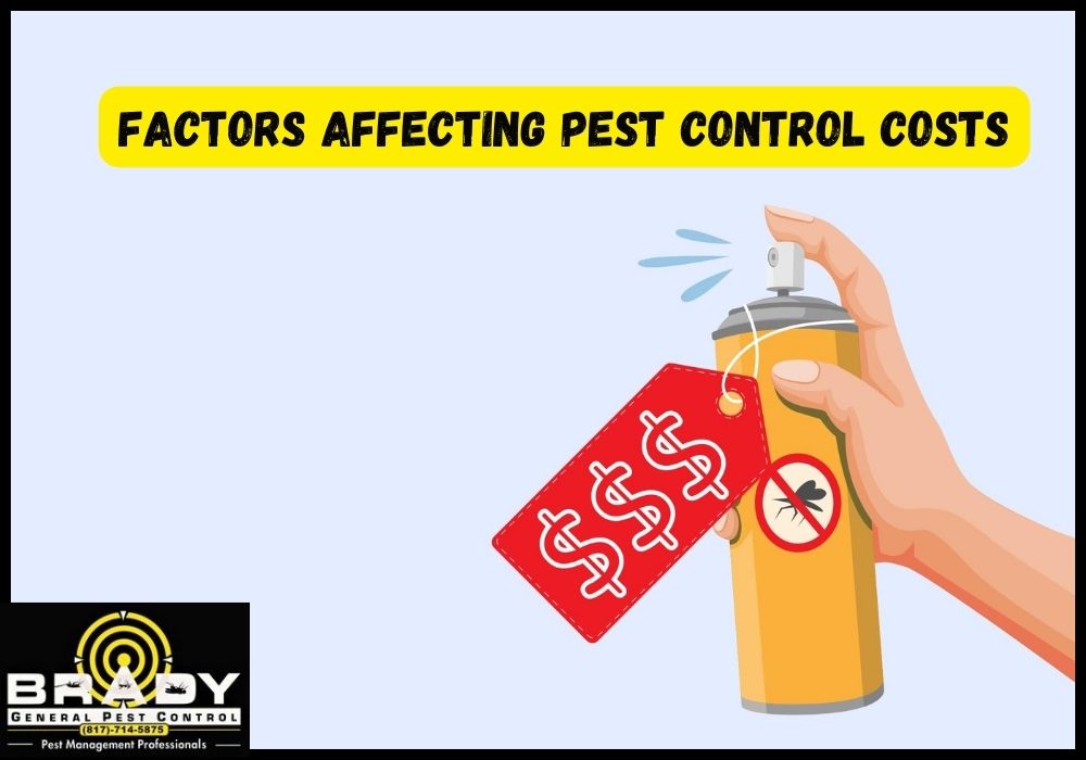 Top Factors Affecting Pest Control Costs - Brady Pest Control