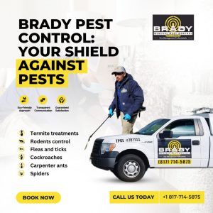 Brady Pest Control Services in Grand Prairie Texas