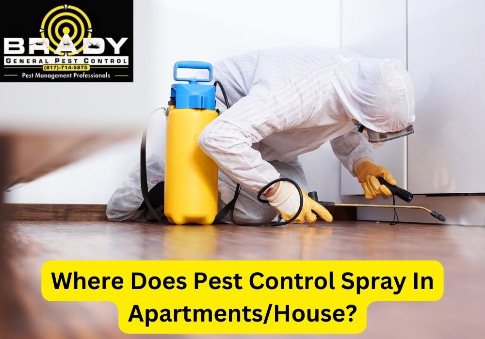Where Does Pest Control Spray In Apartments/House? - Brady Pest Control