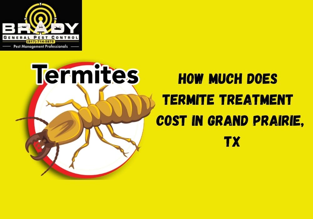 How Much Does Termite Treatment Cost in Grand Prairie, TX in 2024 - Brady pest Control