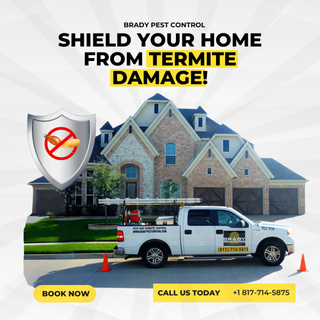 Termites Control Service Across Grand Prairie and Cedar Hill