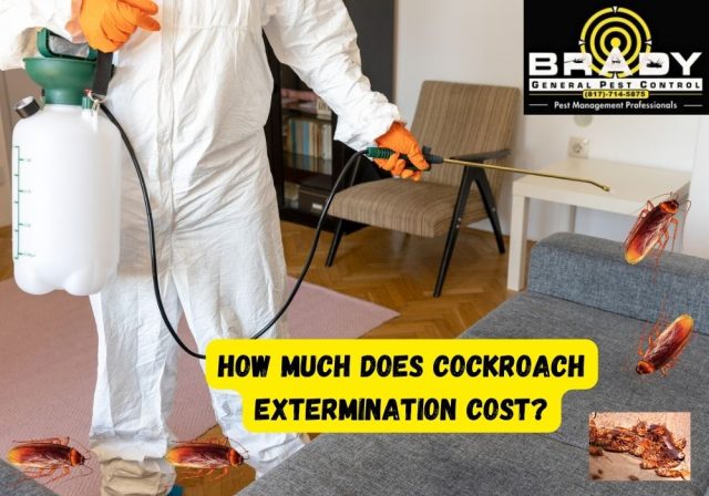 Cockroach Control Extermination in Grand Prairie, TX - Brady Pest Control