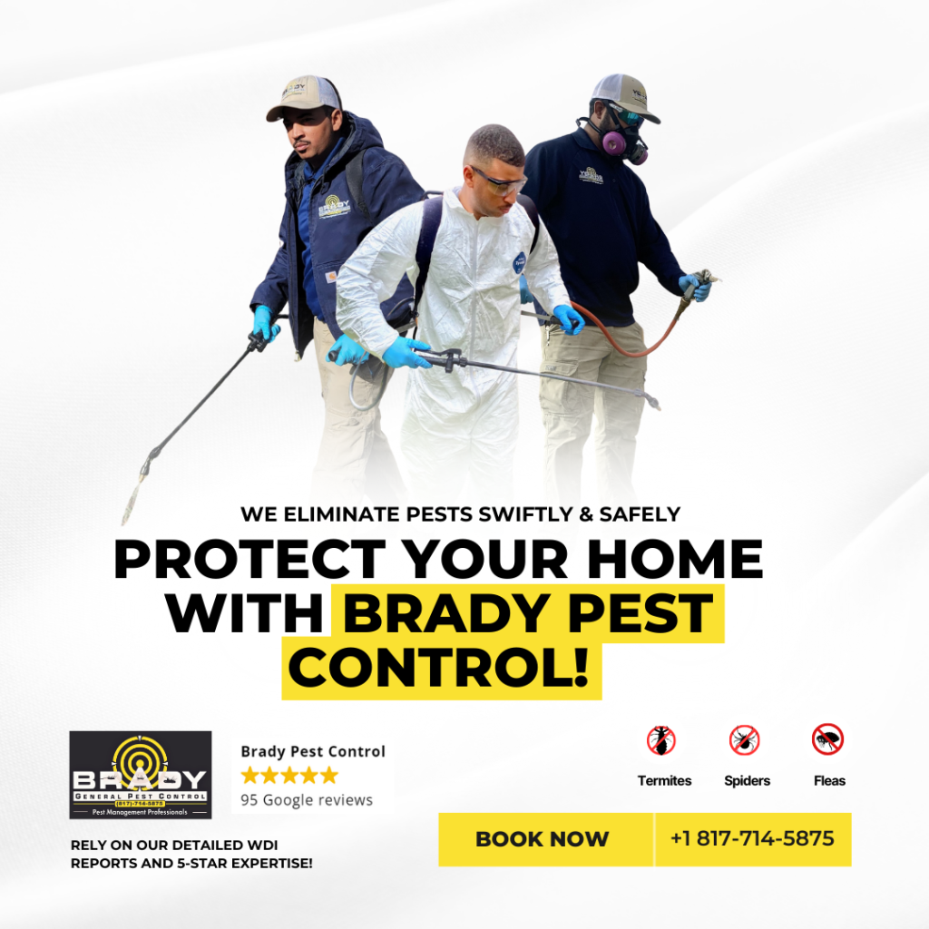 ant control and treatment in Grand prairie texas