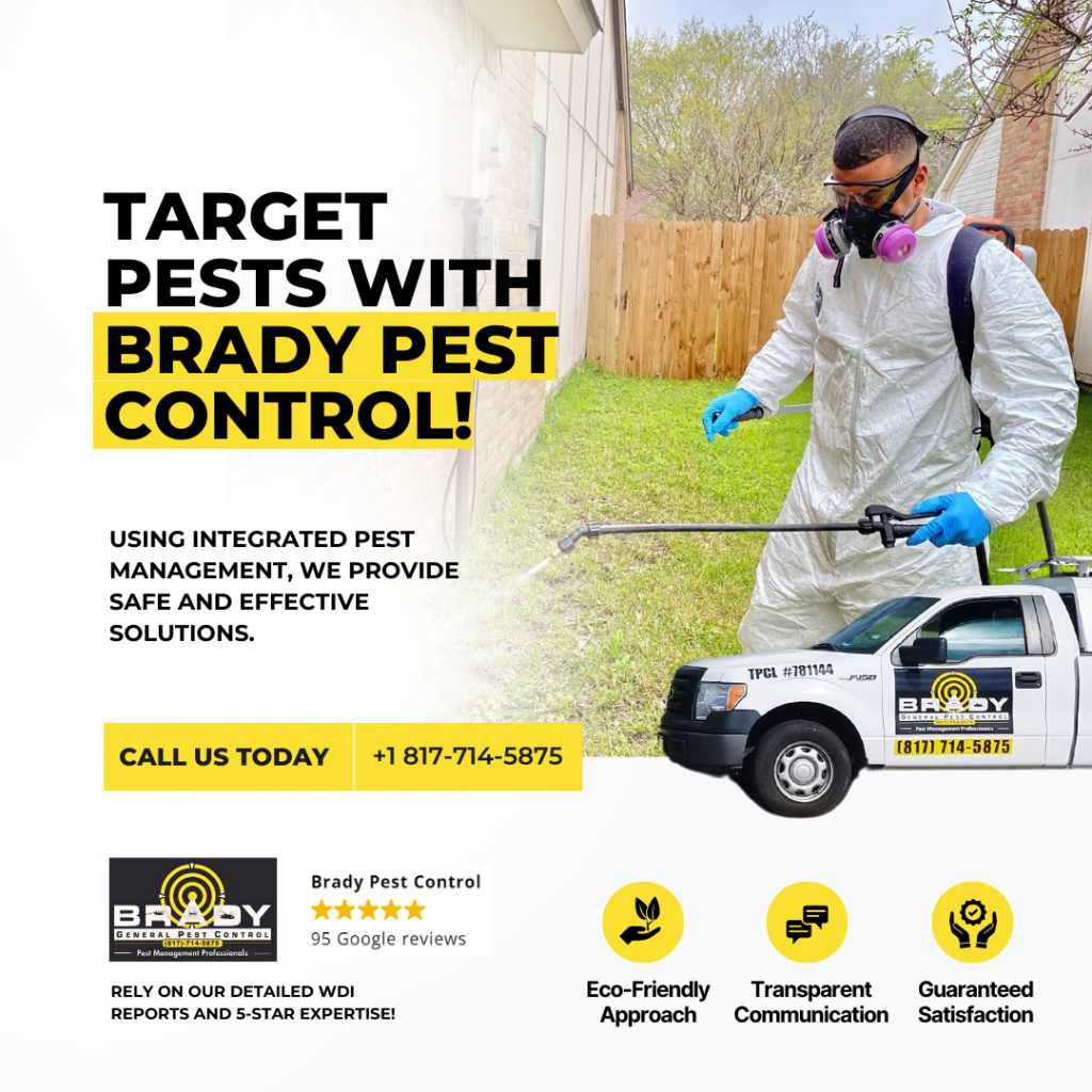 target cockroach control and exterminationwith Brady pest control