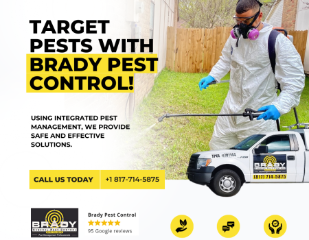 exterminationwith Brady pest control