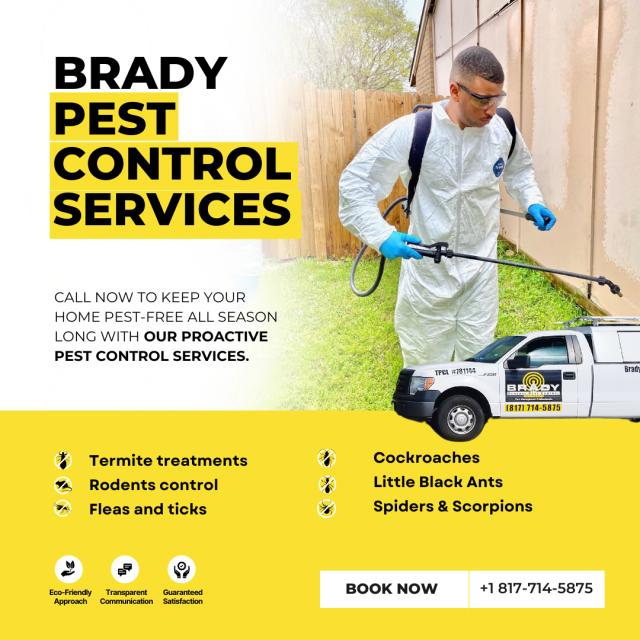 Pest Control Services