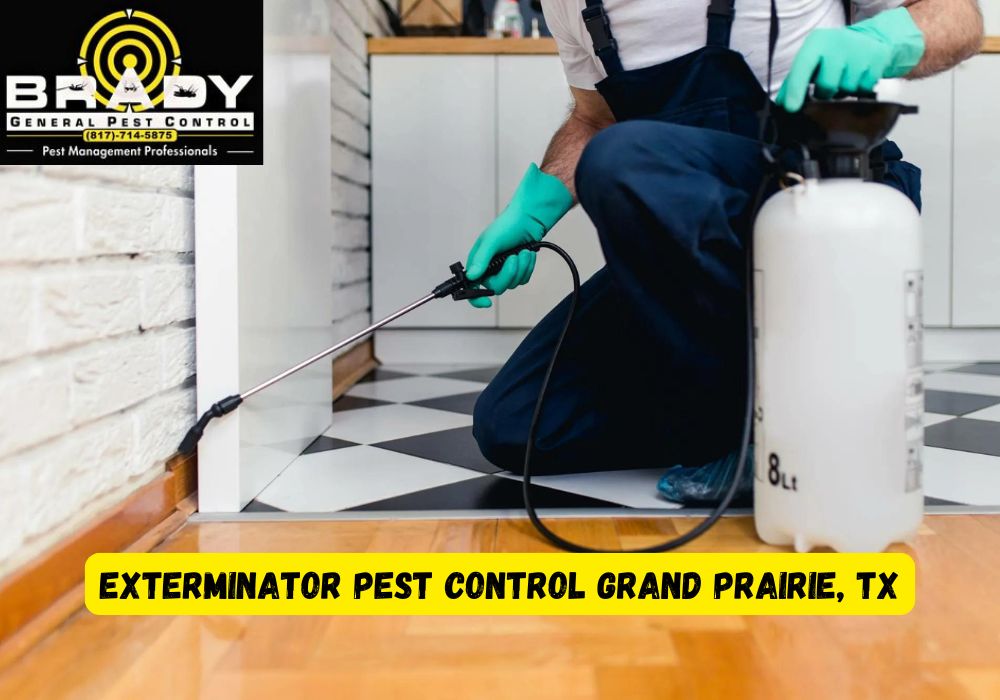 Exterminator Pest Control Grand Prairie TX | Exterminators Near Me Pest Control | Pest Control Exterminator Near Me - Brady Pest Control