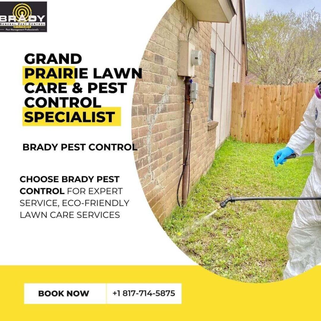 Grand Prairie Lawn Care & Pest Control Specialist | Lawn Care Pest Control | Grand Prairie Lawn Care | Lawn Pest Control Near Me - Brady Pest Control