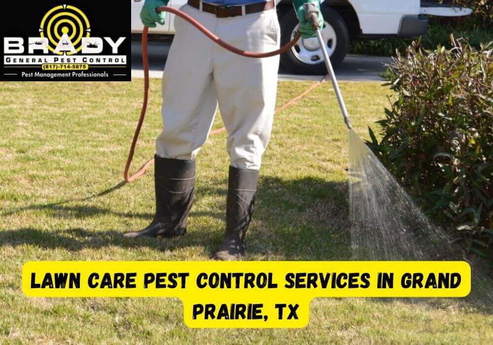 Lawn Care Pest Control Services in Grand Prairie, TX - Brady Pest Control