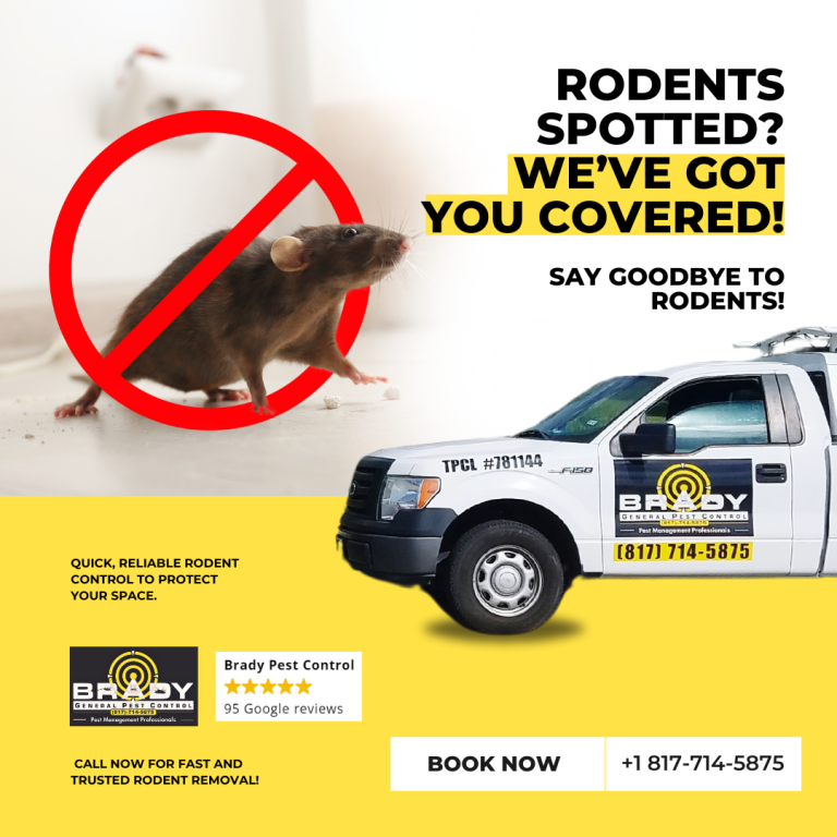 Rodents Control and Removal Services