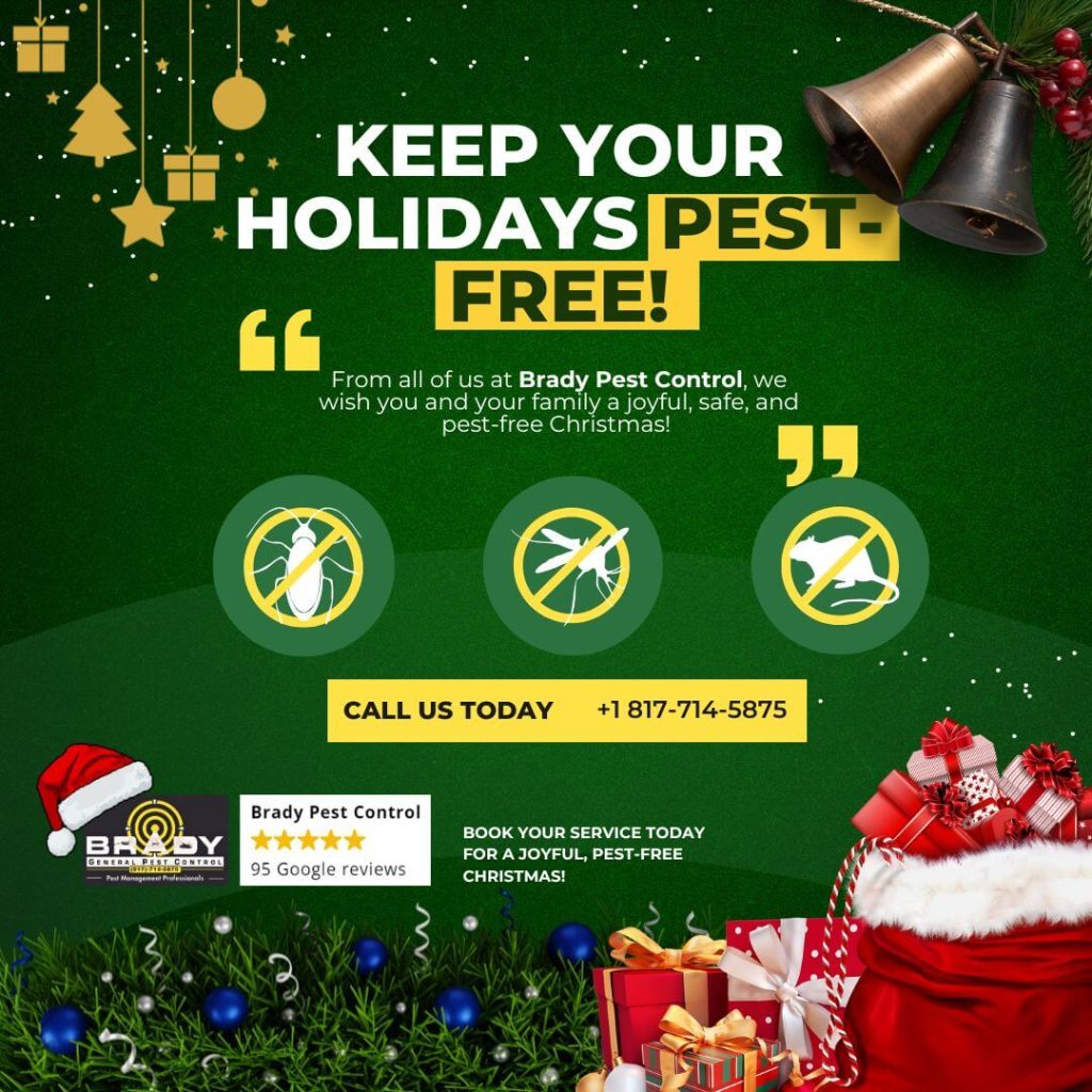 Pest Control Christmas offers