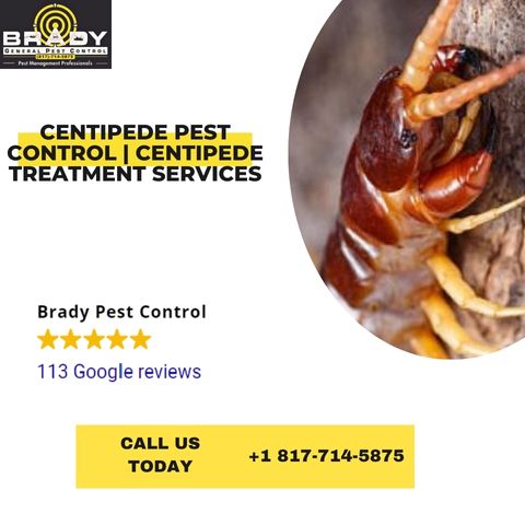 Grand Prairie Centipede Pest Control | Centipede Treatment Services - Brady Pest Control