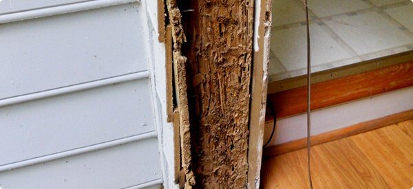 Termite Inspector | WDI Report - Brady Pest Control