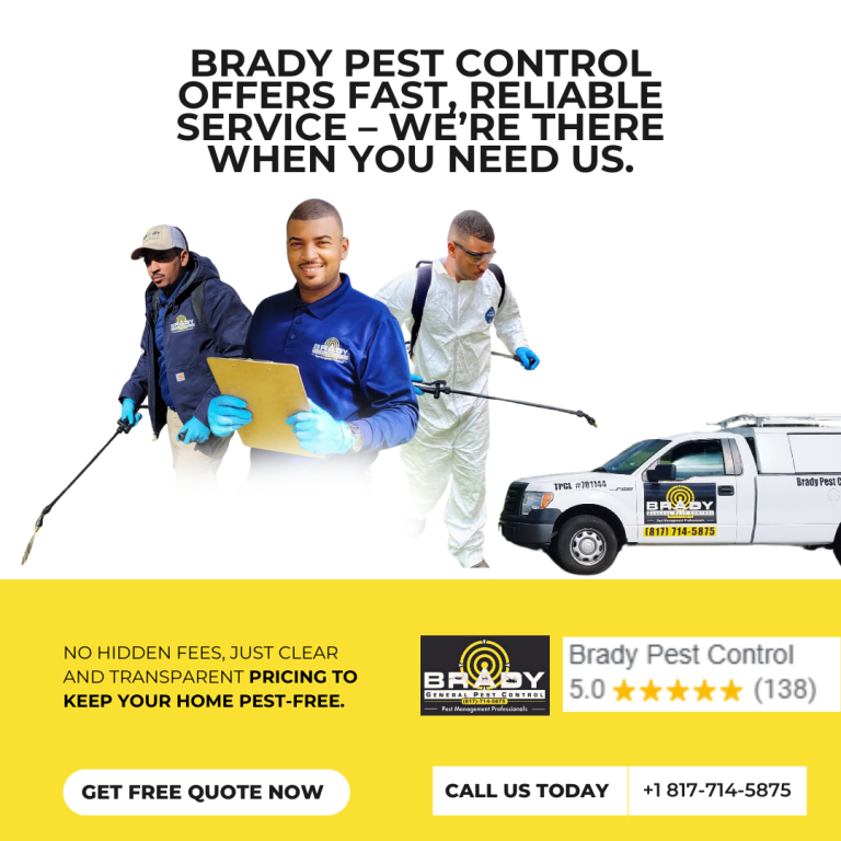 Local Pest Control in my Area | Pest Control Exterminators - Brady Pest Control Local Pest Control in my Area | Pest Control Exterminators - Brady Pest Control