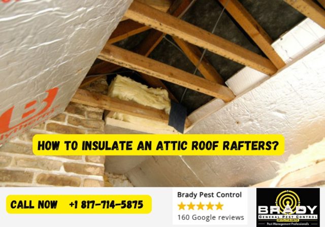 How to Insulate an Attic Roof Rafters? 2026 Ultimate Guide - Brady Pest Control
