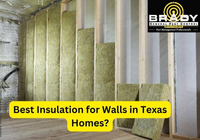 A Guide of Best Insulation for Walls in Texas Homes 2026 - Brady Pest Control