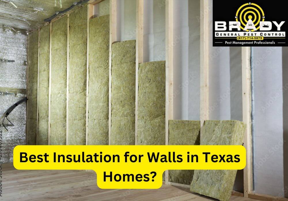 A Guide of Best Insulation for Walls in Texas Homes 2026 - Brady Pest Control
