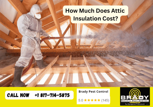 How Much Does Attic Insulation Cost in Texas Per Square Foot 2026