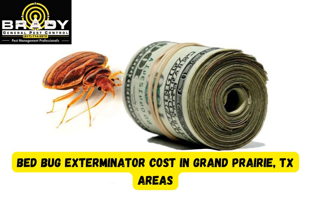 Bed Bug Exterminator Cost in Grand Prairie, TX Areas